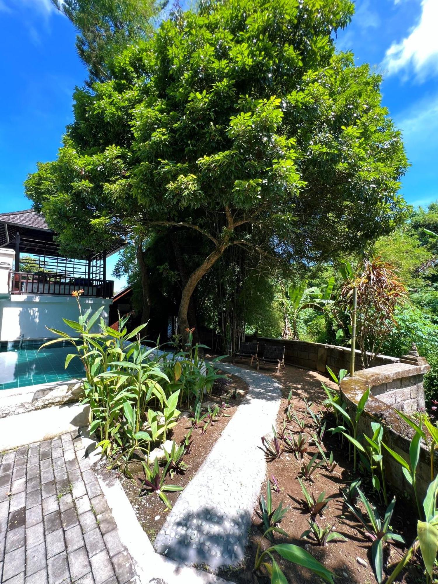 Villa Neshama Canggu  Exterior photo