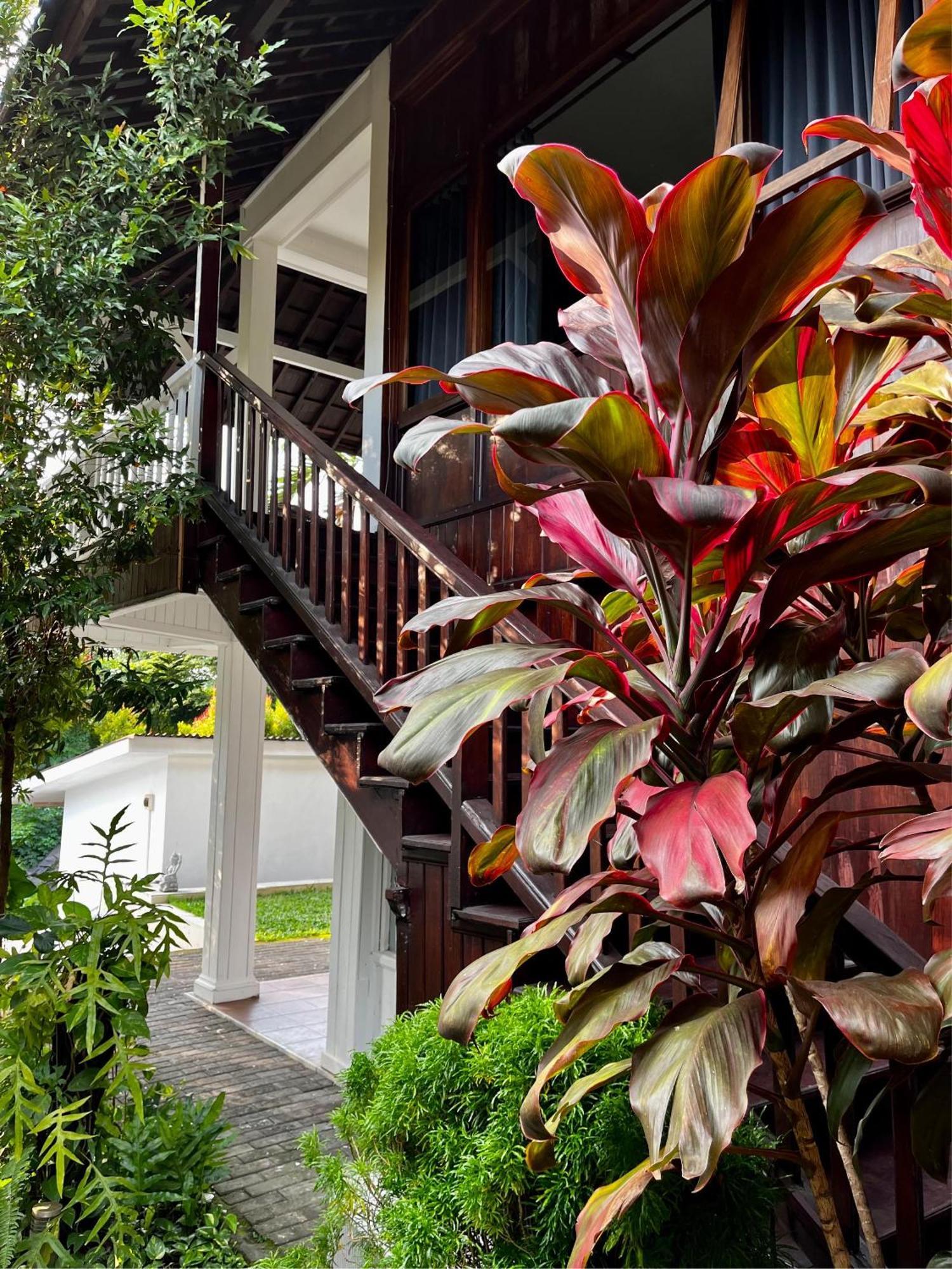 Villa Neshama Canggu  Exterior photo